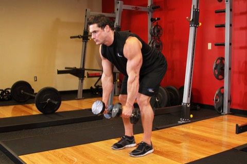 Bent-over dumbbell row: start position