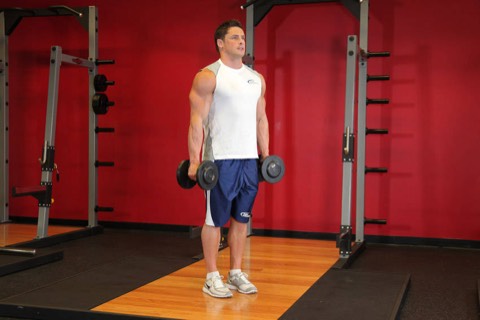Hammer curl: start position