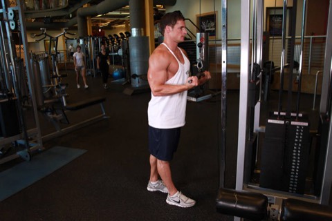 Reverse-grip triceps pushdown: start position