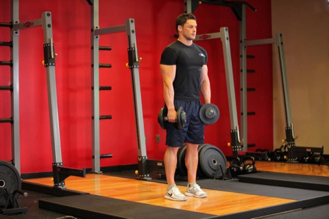Stiff-leg dumbbell deadlift: start position