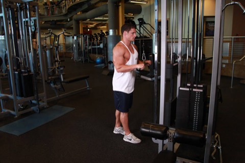 Triceps pushdown: start position